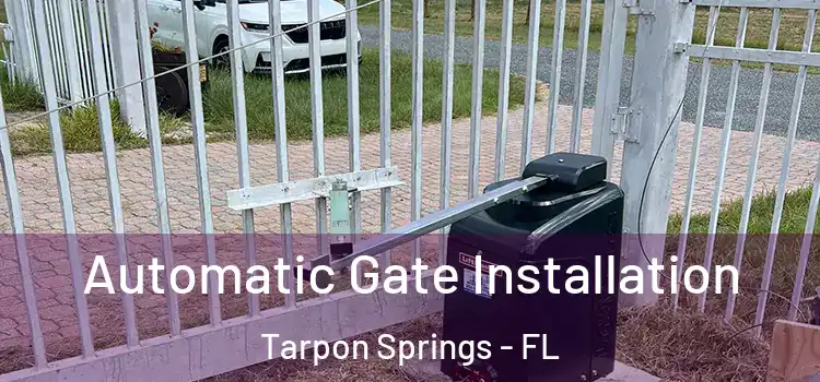  Automatic Gate Installation Tarpon Springs - FL