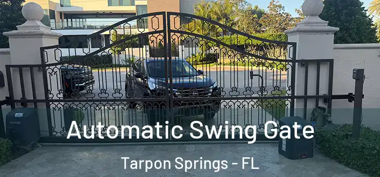  Automatic Swing Gate Tarpon Springs - FL