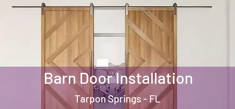 Barn Door Installation Tarpon Springs - FL