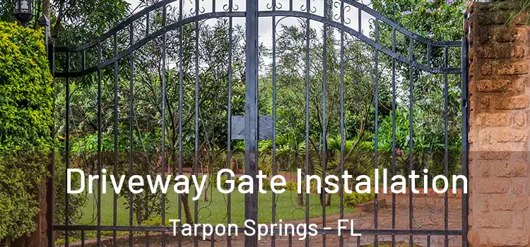 Driveway Gate Installation Tarpon Springs - FL