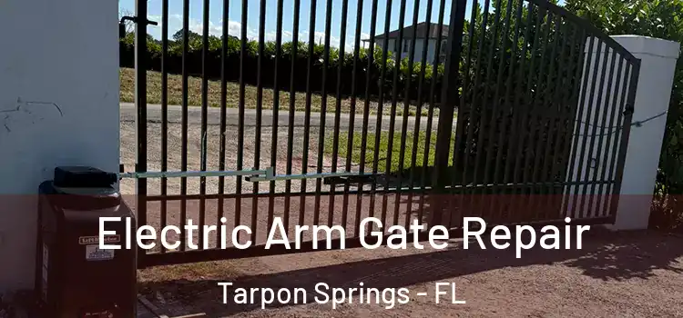 Electric Arm Gate Repair Tarpon Springs - FL