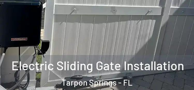Electric Sliding Gate Installation Tarpon Springs - FL