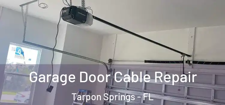  Garage Door Cable Repair Tarpon Springs - FL