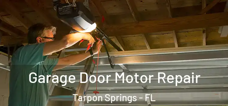  Garage Door Motor Repair Tarpon Springs - FL