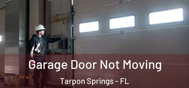  Garage Door Not Moving Tarpon Springs - FL