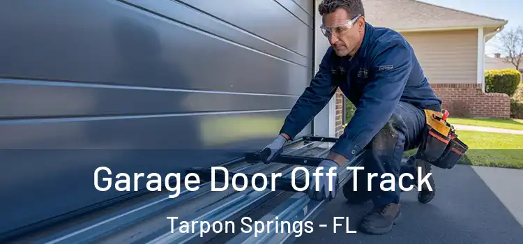  Garage Door Off Track Tarpon Springs - FL