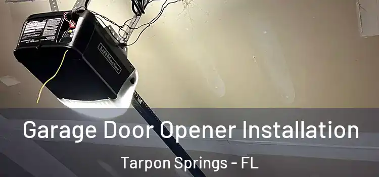  Garage Door Opener Installation Tarpon Springs - FL