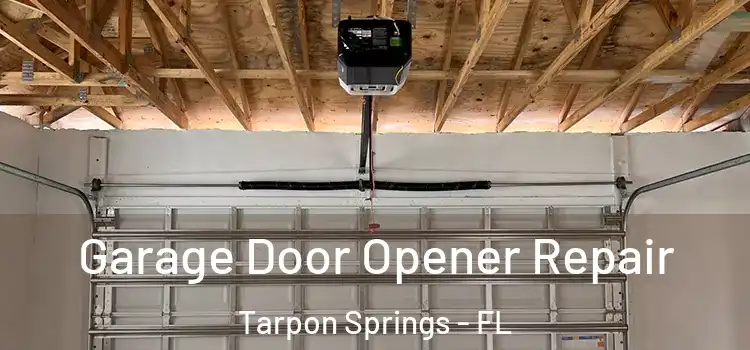  Garage Door Opener Repair Tarpon Springs - FL