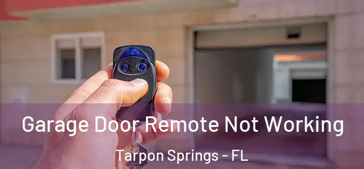  Garage Door Remote Not Working Tarpon Springs - FL