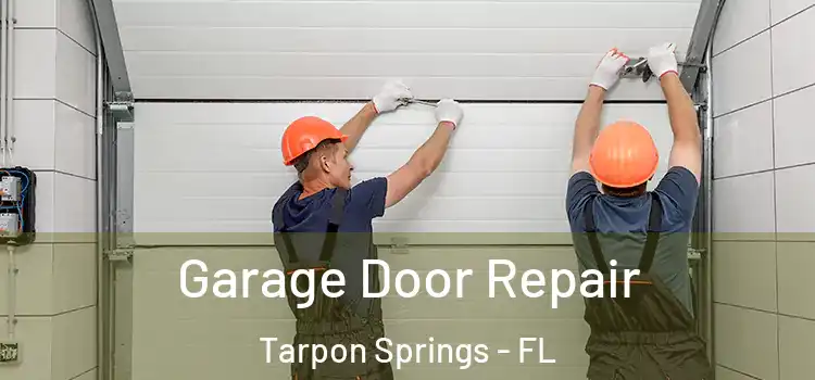 Garage Door Repair Tarpon Springs - FL