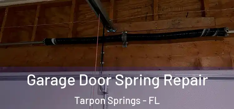  Garage Door Spring Repair Tarpon Springs - FL