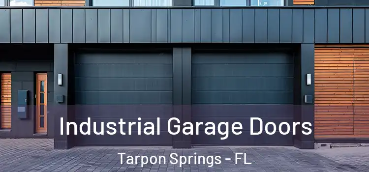  Industrial Garage Doors Tarpon Springs - FL