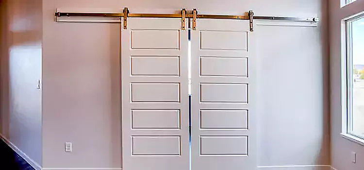 Glass Barn Door with Installation Hardware Kit Tarpon Springs
