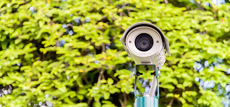 Advanced Surveillance Solutions for Every Need in Tarpon Springs