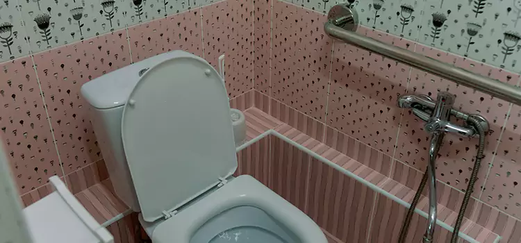 Meeting Diverse Needs With Accessible Restroom Solutions in Tarpon Springs, FL
