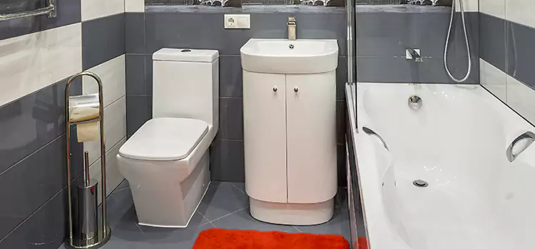 Hansgrohe Shaving Mirror Tarpon Springs