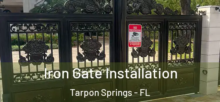  Iron Gate Installation Tarpon Springs - FL