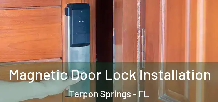  Magnetic Door Lock Installation Tarpon Springs - FL
