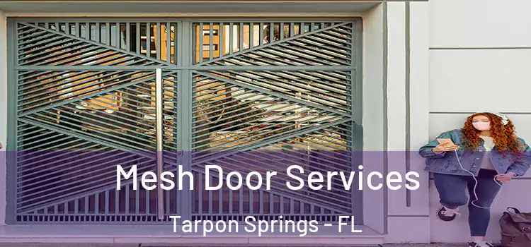 Mesh Door Services Tarpon Springs - FL