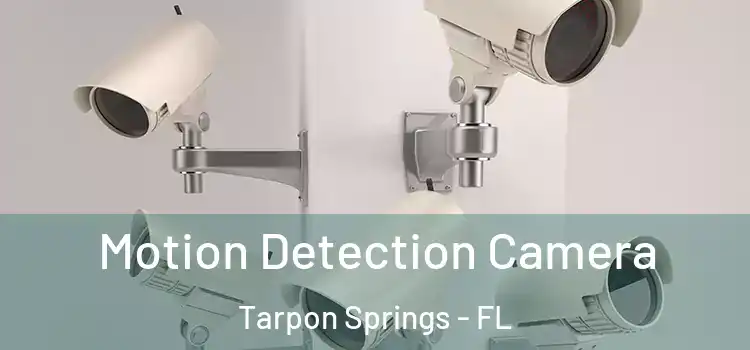  Motion Detection Camera Tarpon Springs - FL