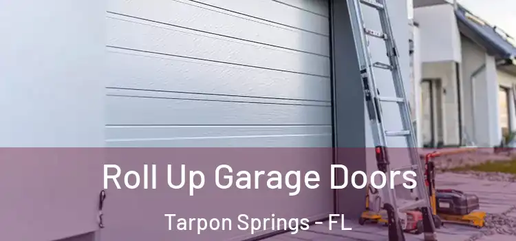  Roll Up Garage Doors Tarpon Springs - FL