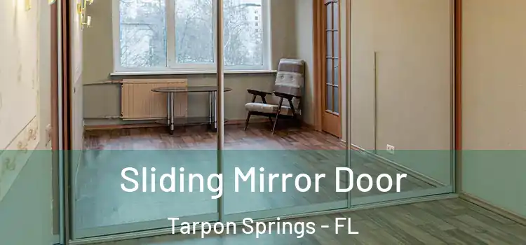  Sliding Mirror Door Tarpon Springs - FL